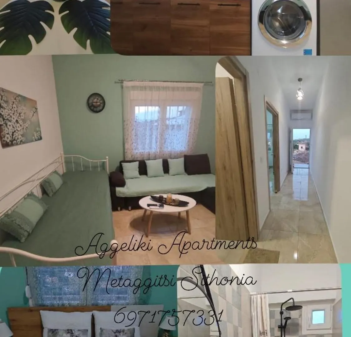Metagkitsi Aggeliki Apartment
